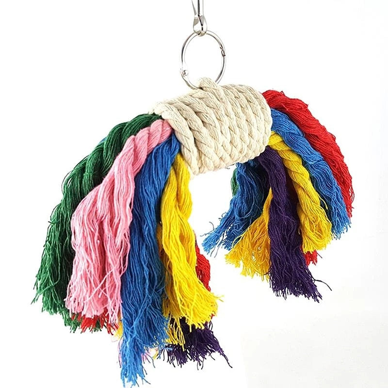 Multicolor Parrot Hanging Chew Toy