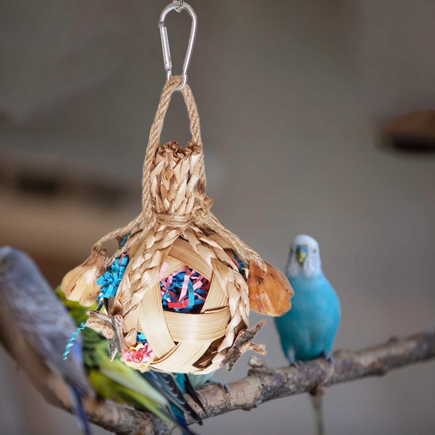 Hanging Chewing Toys Bird Pet Swing Toy for Lovebird Cockatiels Budgies