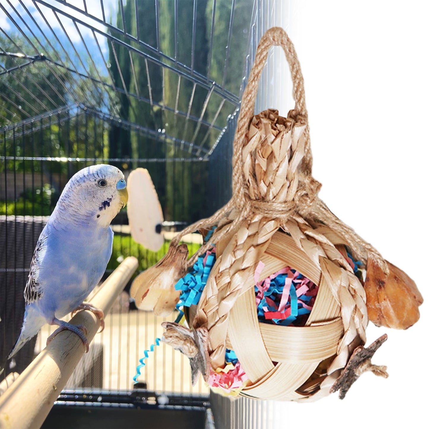 Hanging Chewing Toys Bird Pet Swing Toy for Lovebird Cockatiels Budgies